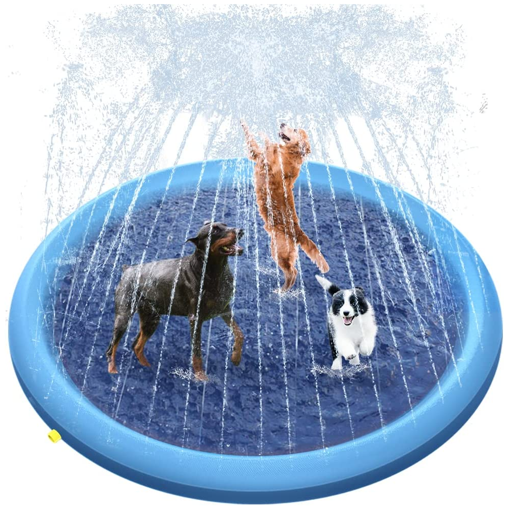 בריכה משפריצה מים לכלבים לקיץ